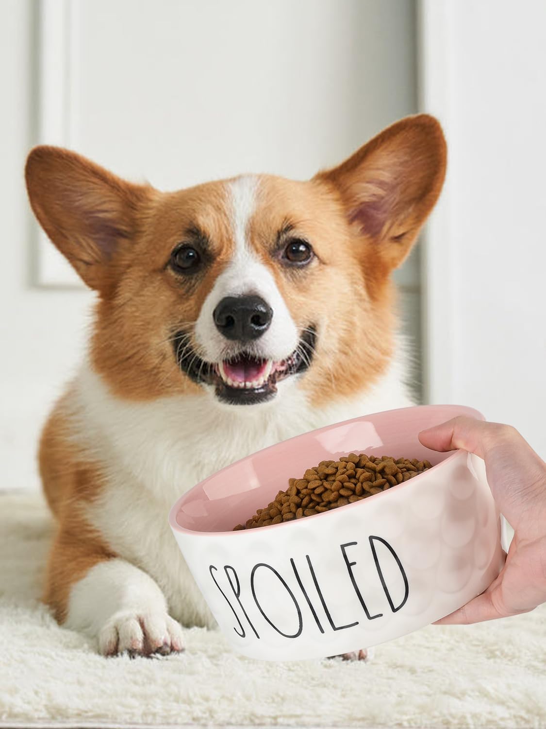 27OZ Ceramic Dog Bowl 6 Inch Small Food Water Bowl