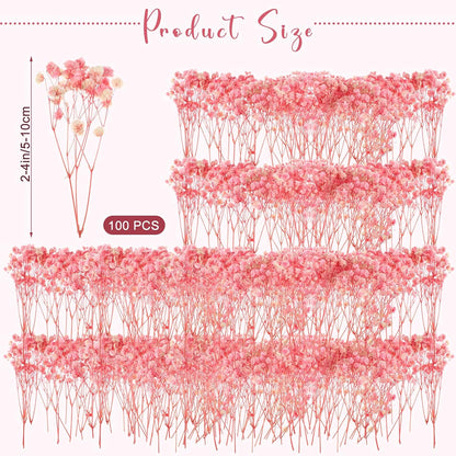 100 Pcs Pink Mini Dried Babys Breath Flower DIY Craft Gift