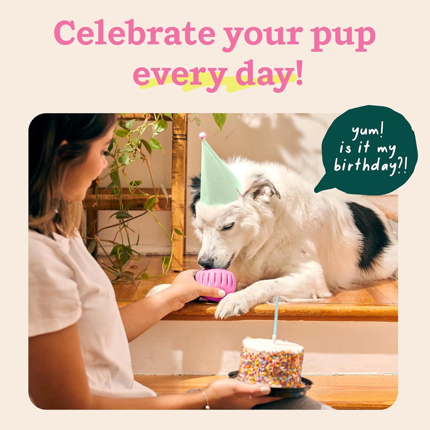 Party Pupsicle - Long-Lasting Interactive Dog Toys for Boredom - Low-Mess Design - Birthday Gifts for Dogs - Small Dog Toys - Party Pink