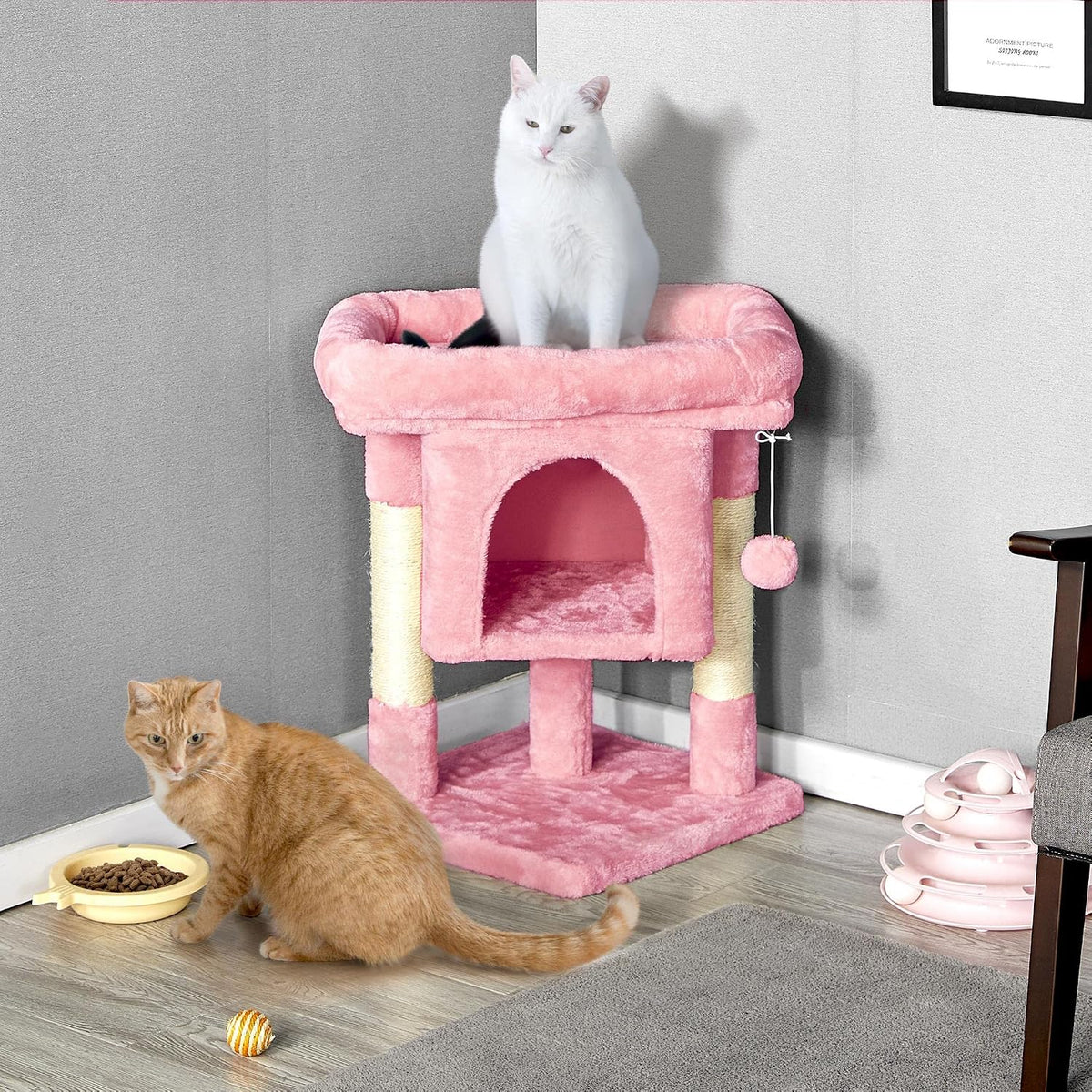 23.5in Small Cat Tree, Extra Large Plush Perch, Soft Condo
