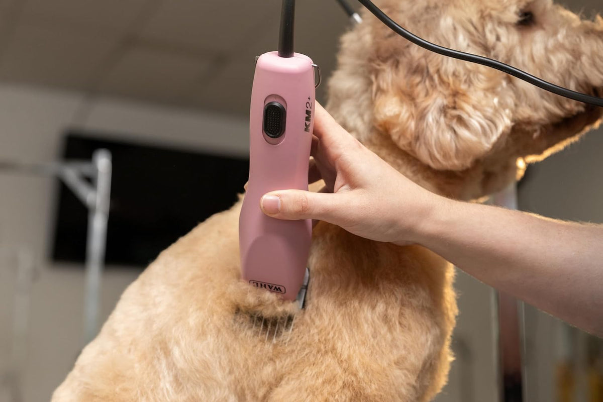 Pro Animal Thick-Curly Coat Clipper, Lightweight & Quiet, Pink