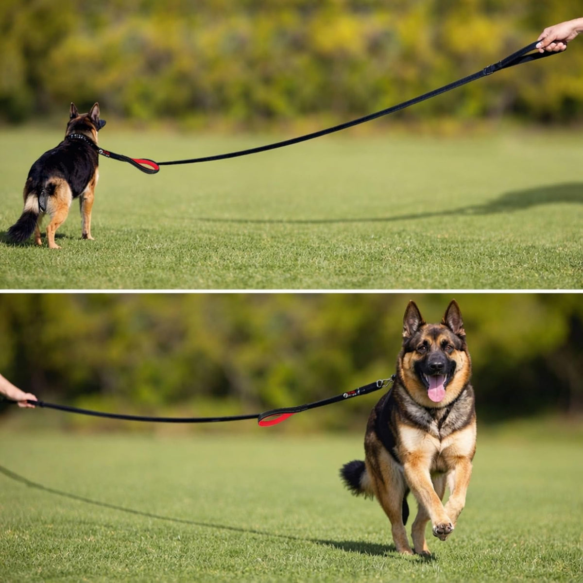 Dog Leash 6ft Long,Traffic Padded Two Handle,Heavy Duty,Reflective Double Handles Lead for Control Safety Training,Leashes for Large Dogs or Medium Dogs,Dual Handles Leads(Pink)