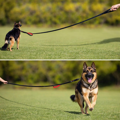 Dog Leash 6ft Long,Traffic Padded Two Handle,Heavy Duty,Reflective Double Handles Lead for Control Safety Training,Leashes for Large Dogs or Medium Dogs,Dual Handles Leads(Pink)