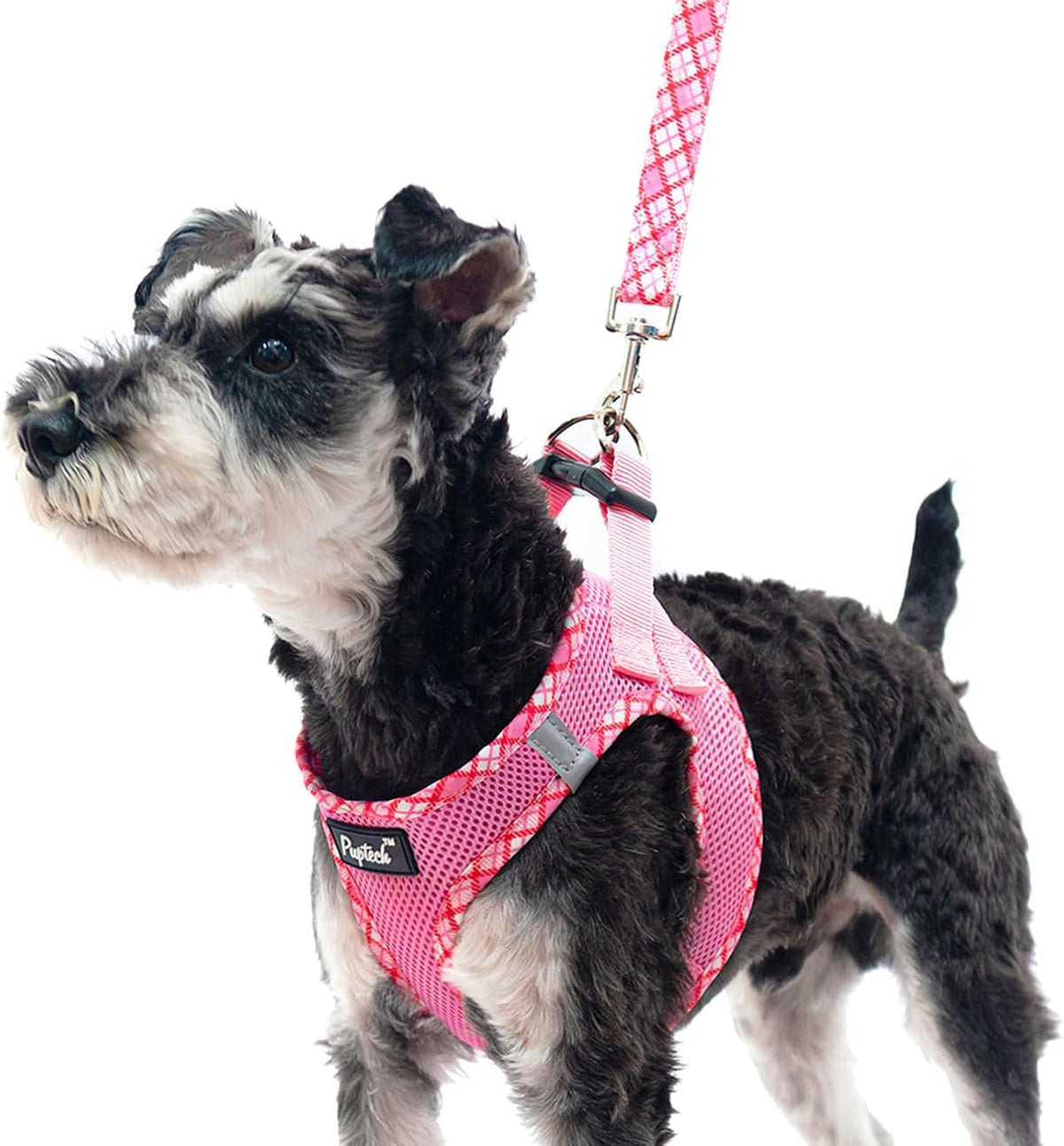 Small Dog Harness and Leash Set No Pull for XS XXS Sized Dogs Puppy