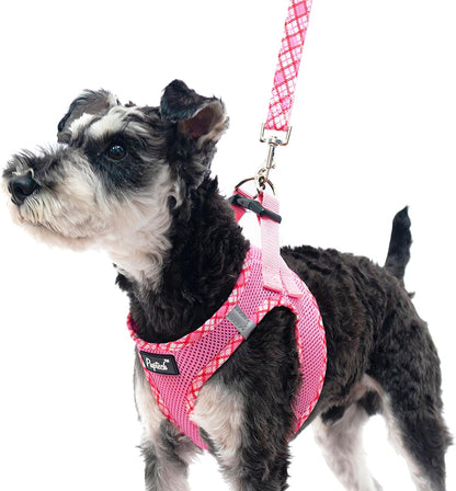 Small Dog Harness and Leash Set No Pull for XS XXS Sized Dogs Puppy