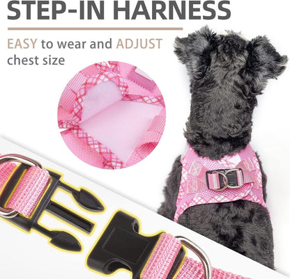 Small Dog Harness and Leash Set No Pull for XS XXS Sized Dogs Puppy