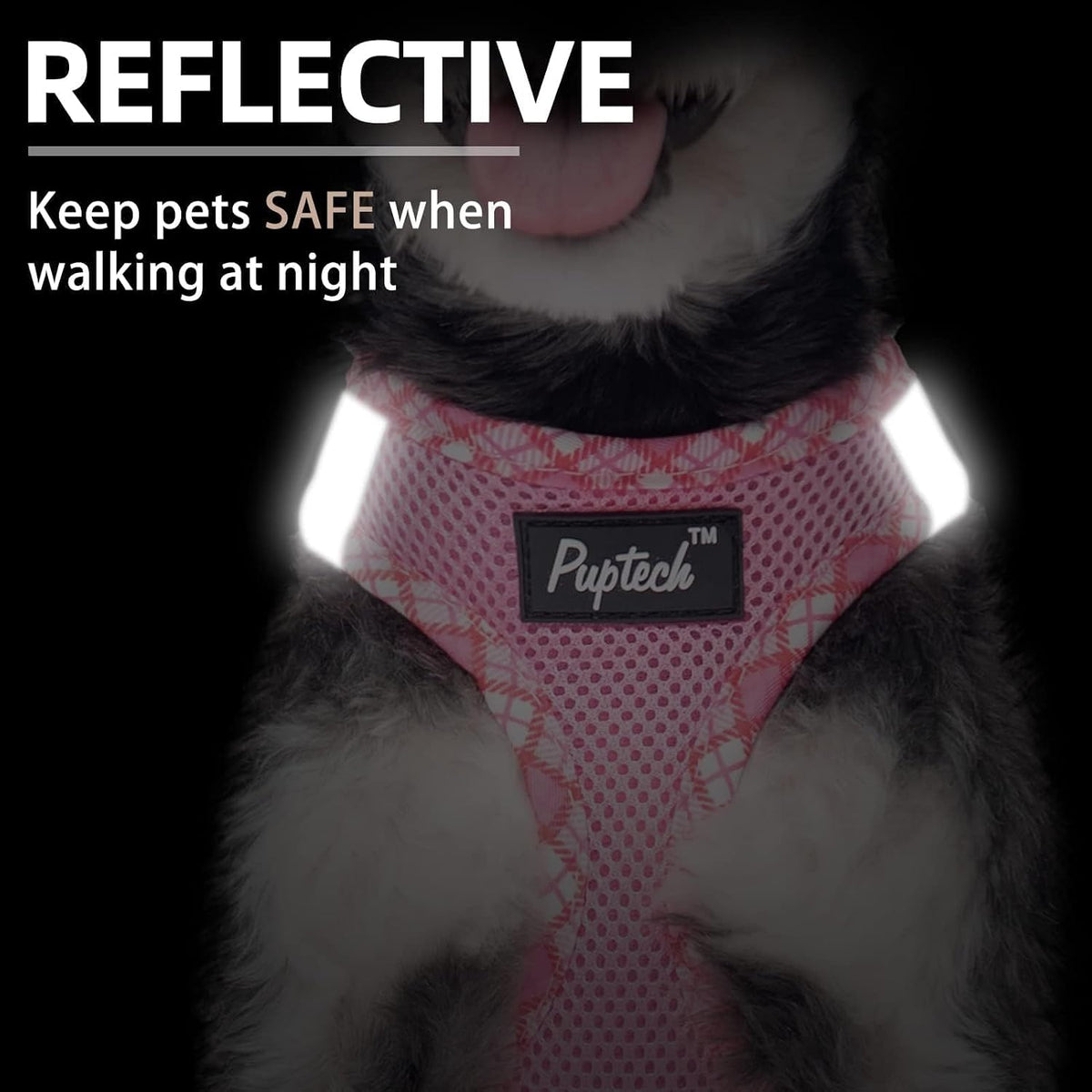 Small Dog Harness and Leash Set No Pull for XS XXS Sized Dogs Puppy