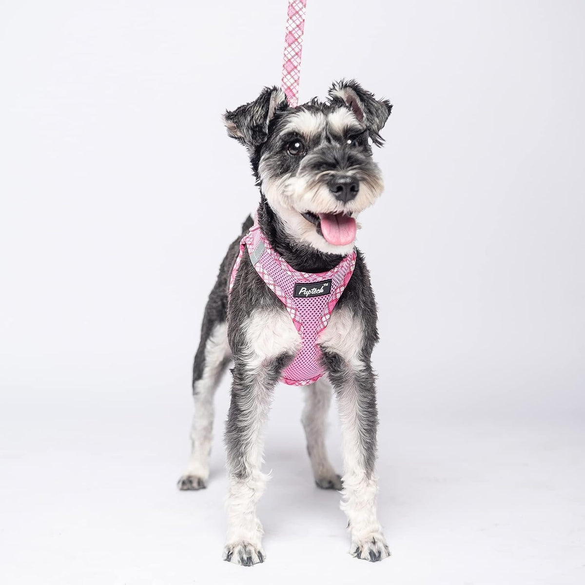 Small Dog Harness and Leash Set No Pull for XS XXS Sized Dogs Puppy