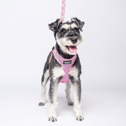 Small Dog Harness and Leash Set No Pull for XS XXS Sized Dogs Puppy