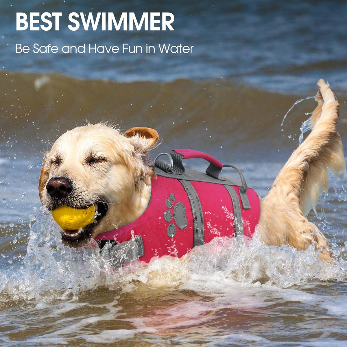Medium Dog Life Jacket Dachshund Life Vest for Swimming & Boating
