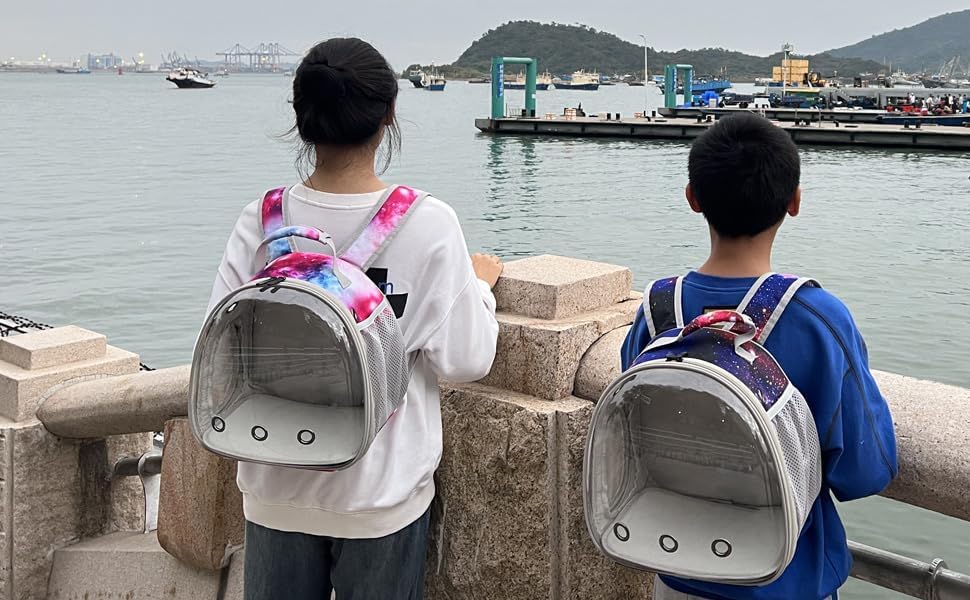 Bunny Carrier Backpack with Space Capsule Clear Bubble Window - Portable Small Animal Backpack Travel Pet Carrier Galaxy for Guinea Pig Rabbit Bearded Dragon Rat Lizard Hamster (Galaxy Pink)