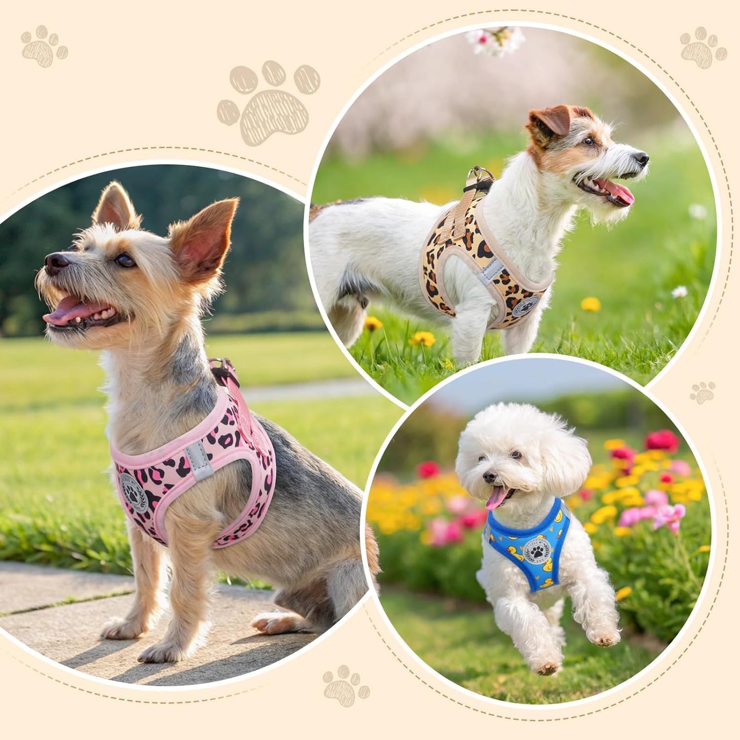 Step in Dog Harness and Leash Set,Reflective Dog Harness No Pull No Choke Puppy Harness for Small Medium Dogs Cats,Soft Padded Mesh Vest Harnesses for Girl and Boy Pets,Leopard Pink M