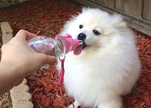 Choco Nose No-Drip Portable Travel Water Bottle for Small Dogs & Cats - Lockable Leak-Proof Design Prevents Spills in Bags & Cars, Outdoor Feeder for Puppies & Toy Breeds, 8 fl oz (C258)