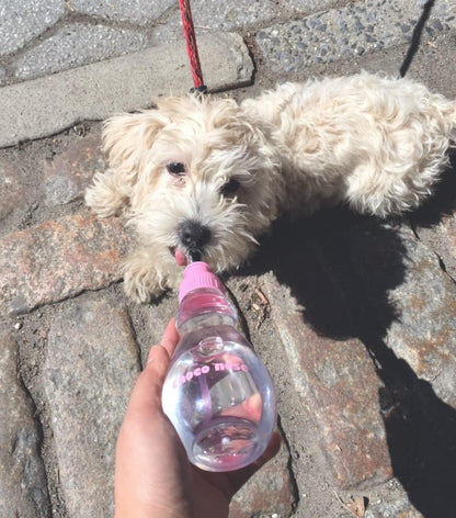 Choco Nose No-Drip Portable Travel Water Bottle for Small Dogs & Cats - Lockable Leak-Proof Design Prevents Spills in Bags & Cars, Outdoor Feeder for Puppies & Toy Breeds, 8 fl oz (C258)