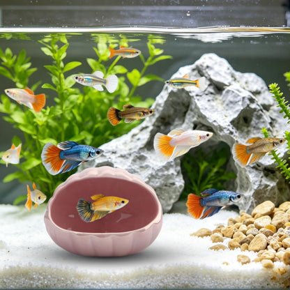 Aquarium Ceramic Shell Cave Betta Fish Tank Decor Hideout, Pink