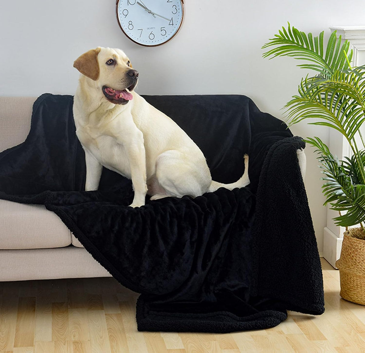 The Waterproof Blanket, Couples Waterproof Blanket, Warm Flannel Thick Blankets, Pet Blankets for Dog Cat (Pink,M(40 * 57 in))