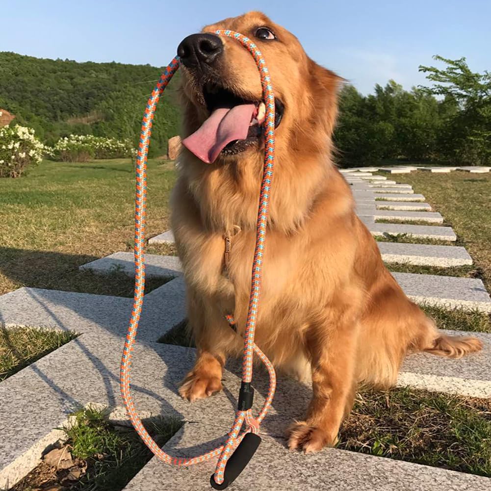 Nylon Strong Dog Rope Lead Leash Training Dog Lead with Soft Handle 6-20 FT Long Pink/Blue (Dia:0.5" 15FT)