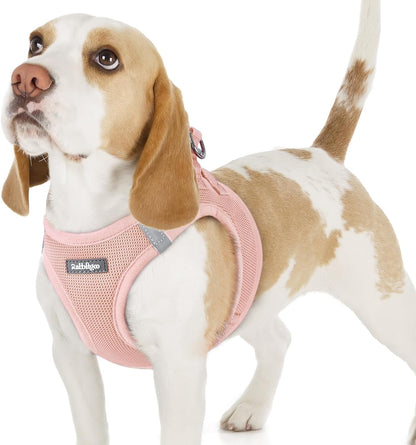 Step-in Small Dog Harness, Puppy Vest for Small Sized Pet