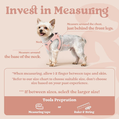 Step-in Small Dog Harness, Puppy Vest for Small Sized Pet