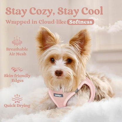 Step-in Small Dog Harness, Puppy Vest for Small Sized Pet
