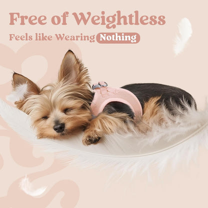 Step-in Small Dog Harness, Puppy Vest for Small Sized Pet