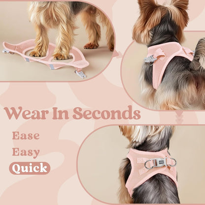 Step-in Small Dog Harness, Puppy Vest for Small Sized Pet