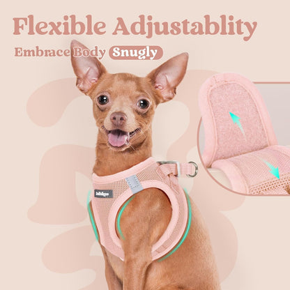 Step-in Small Dog Harness, Puppy Vest for Small Sized Pet