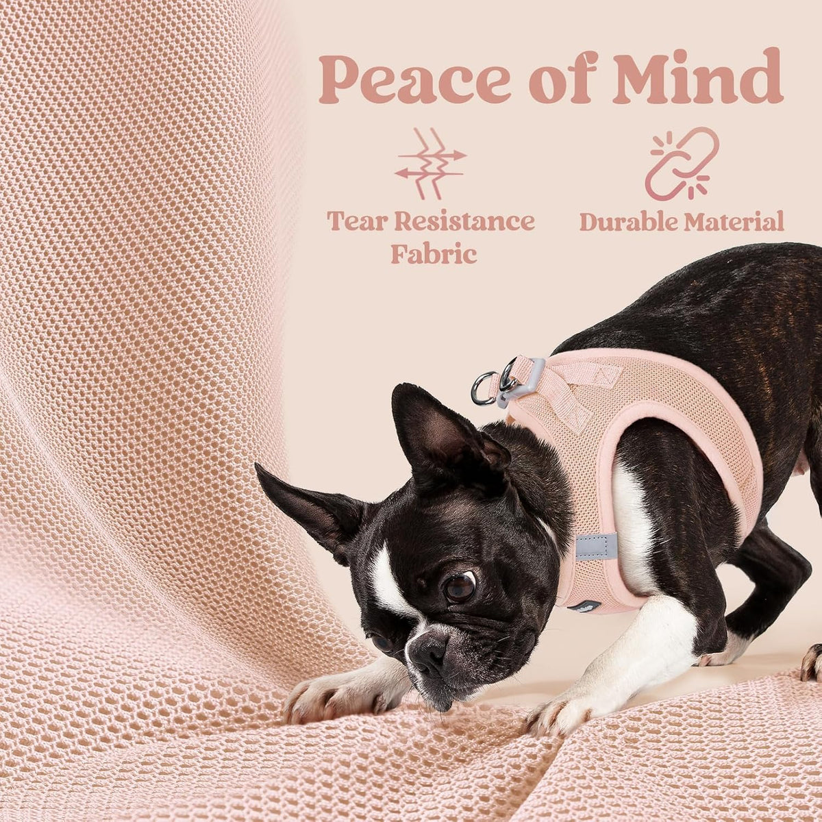 Step-in Small Dog Harness, Puppy Vest for Small Sized Pet