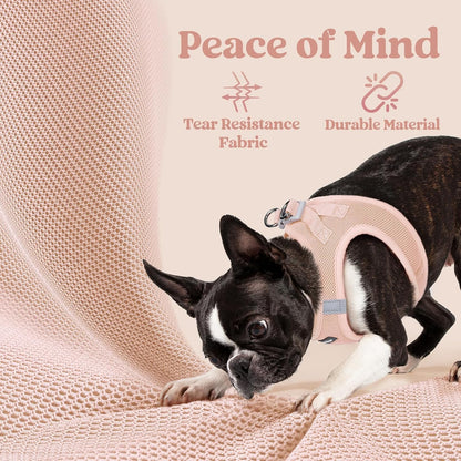 Step-in Small Dog Harness, Puppy Vest for Small Sized Pet