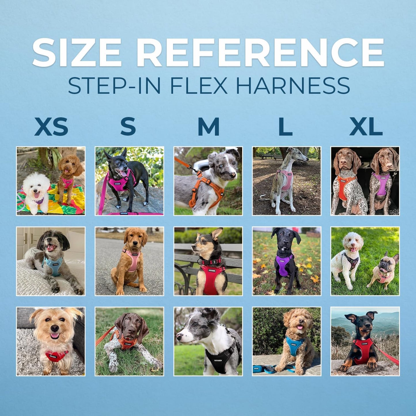 Best Pet Supplies Voyager Adjustable Step-in Flex Breathable Mesh Dog Harness for Small Medium Large Dogs (Fuchsia), M