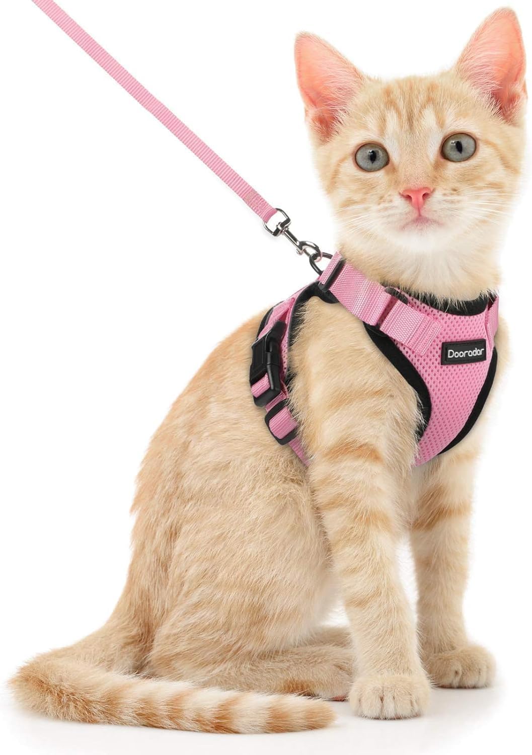 Cat Harness and Leash Set, Adjustable and Escape Proof, S