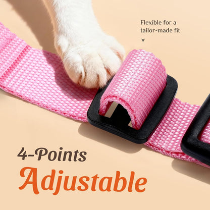Cat Harness and Leash Set, Adjustable and Escape Proof, S