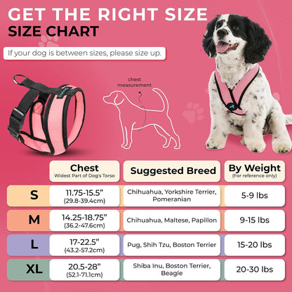Comfort X Head-in Dog Harness, Choke-Free, Pink, Medium