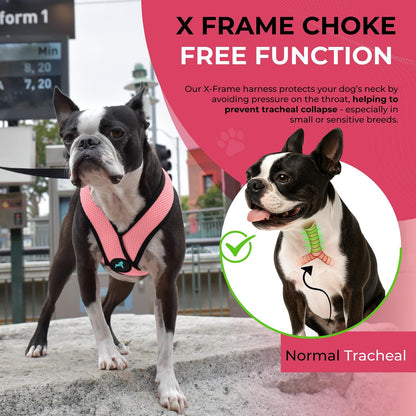 Comfort X Head-in Dog Harness, Choke-Free, Pink, Medium