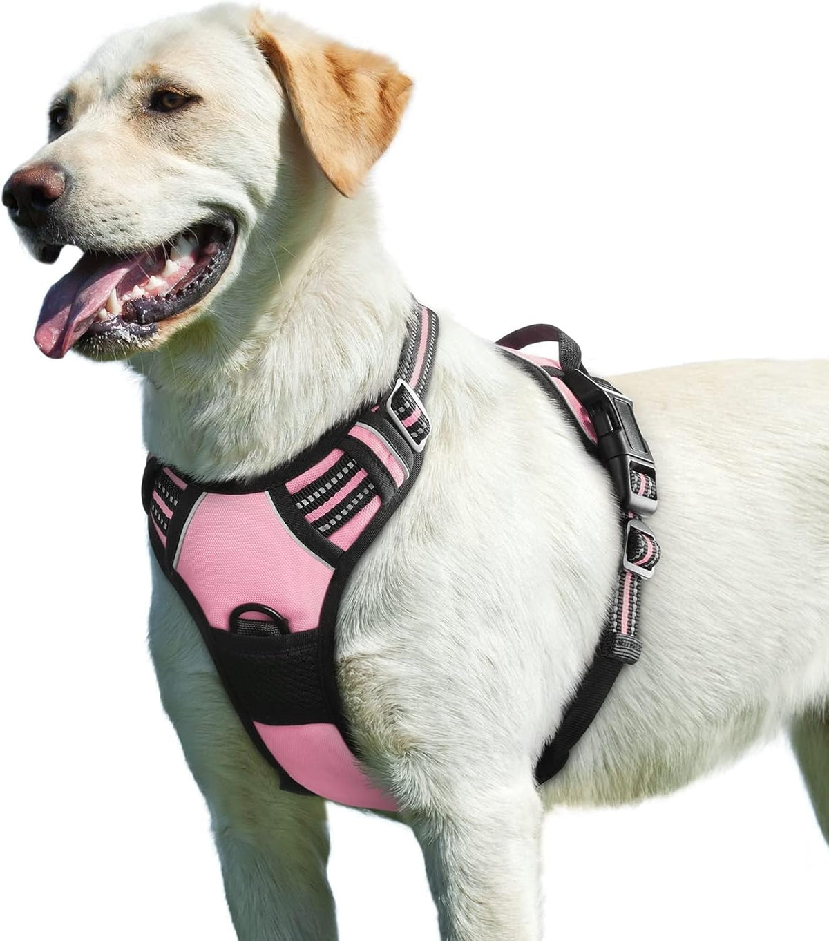 Eagloo Dog Harness for Large Dogs, No Pull Pet Vest with 2 Leash Clips