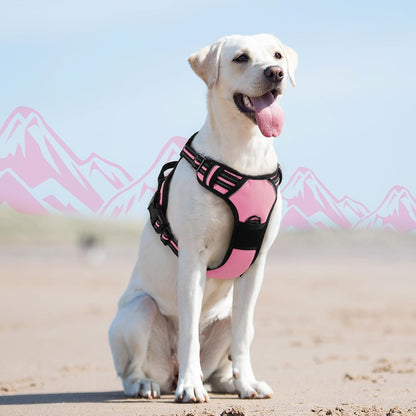 Eagloo Dog Harness for Large Dogs, No Pull Pet Vest with 2 Leash Clips