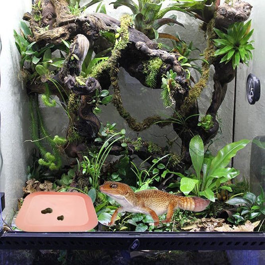 2 Pcs Leopard Gecko Potty Pad,Crested Gecko Potty Latrine，Leopard Gecko Tray，Reptile Litter Box，Portable Gecko Tank Accessories (Pink)
