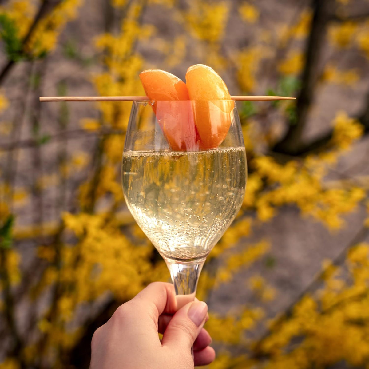 Peach Prosecco Long-Lasting Scented Jar Candle, 18 oz