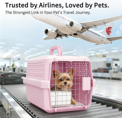 XS Hard Pet Carrier: Travel Crate for Small Cats & Dogs 10 lbs