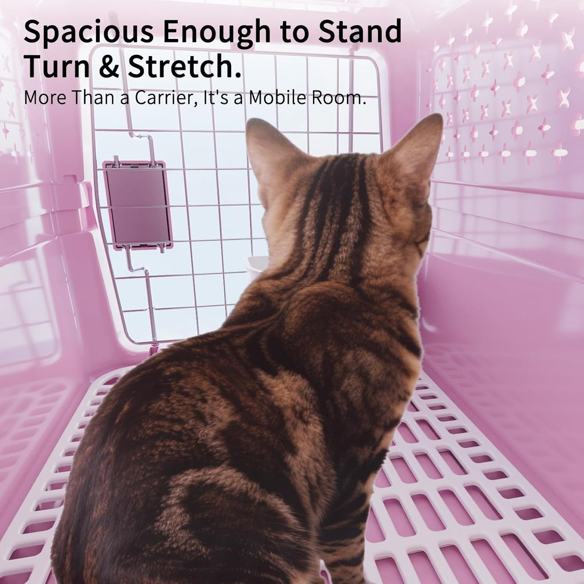 XS Hard Pet Carrier: Travel Crate for Small Cats & Dogs 10 lbs