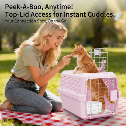 XS Hard Pet Carrier: Travel Crate for Small Cats & Dogs 10 lbs