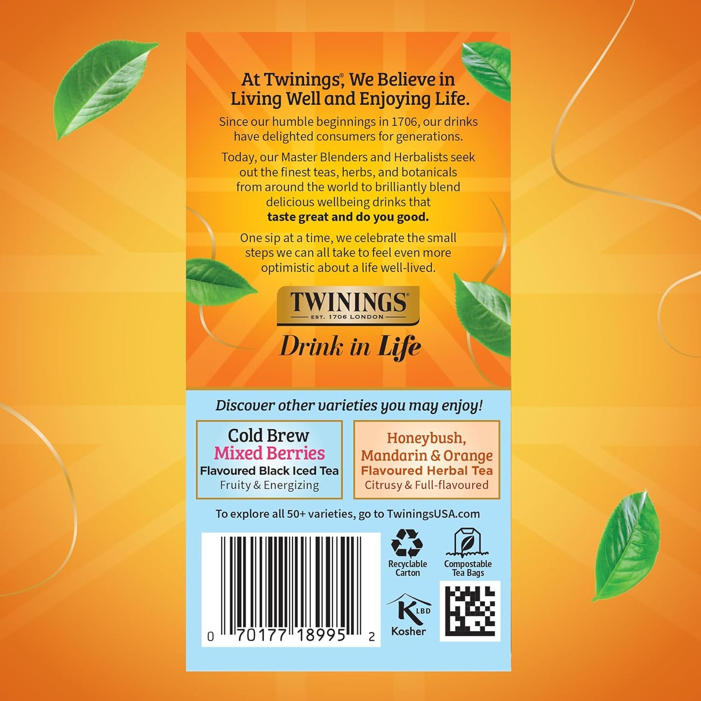 Peach Cold Brew Iced Tea Bags, 20 Count (Pack of 1), Unsweetened Flavoured Black Tea, Caffeinated, 20 Teabags