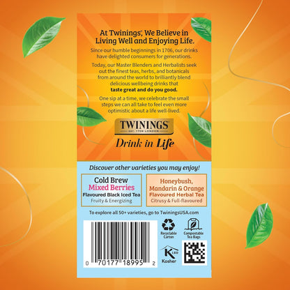 Peach Cold Brew Iced Tea Bags, 20 Count (Pack of 1), Unsweetened Flavoured Black Tea, Caffeinated, 20 Teabags