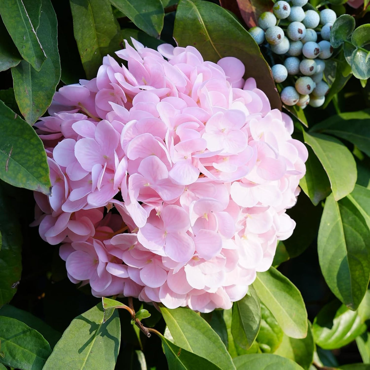 3 Pcs 20" Real Touch Pink Hydrangea Artificial Flowers, Lifelike Latex Faux Fake Flowers with Stems, for Vase Table Centerpiece Home Decor Wedding Bouquet