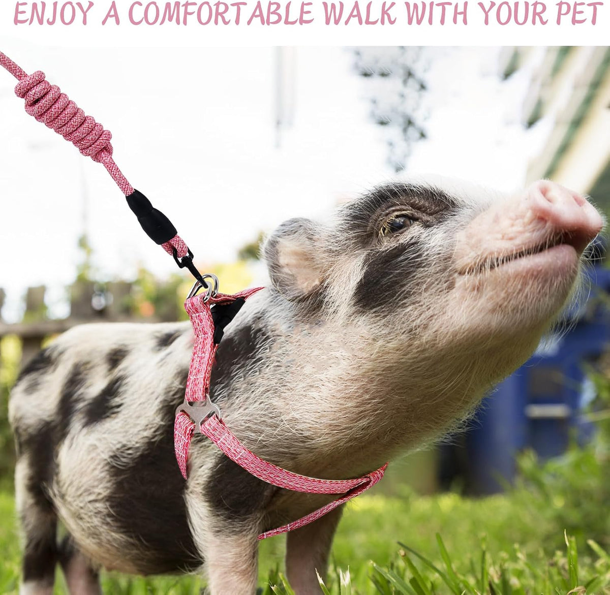 Mini Pig Harness Adjustable with Leash Foam Handle Pink, M