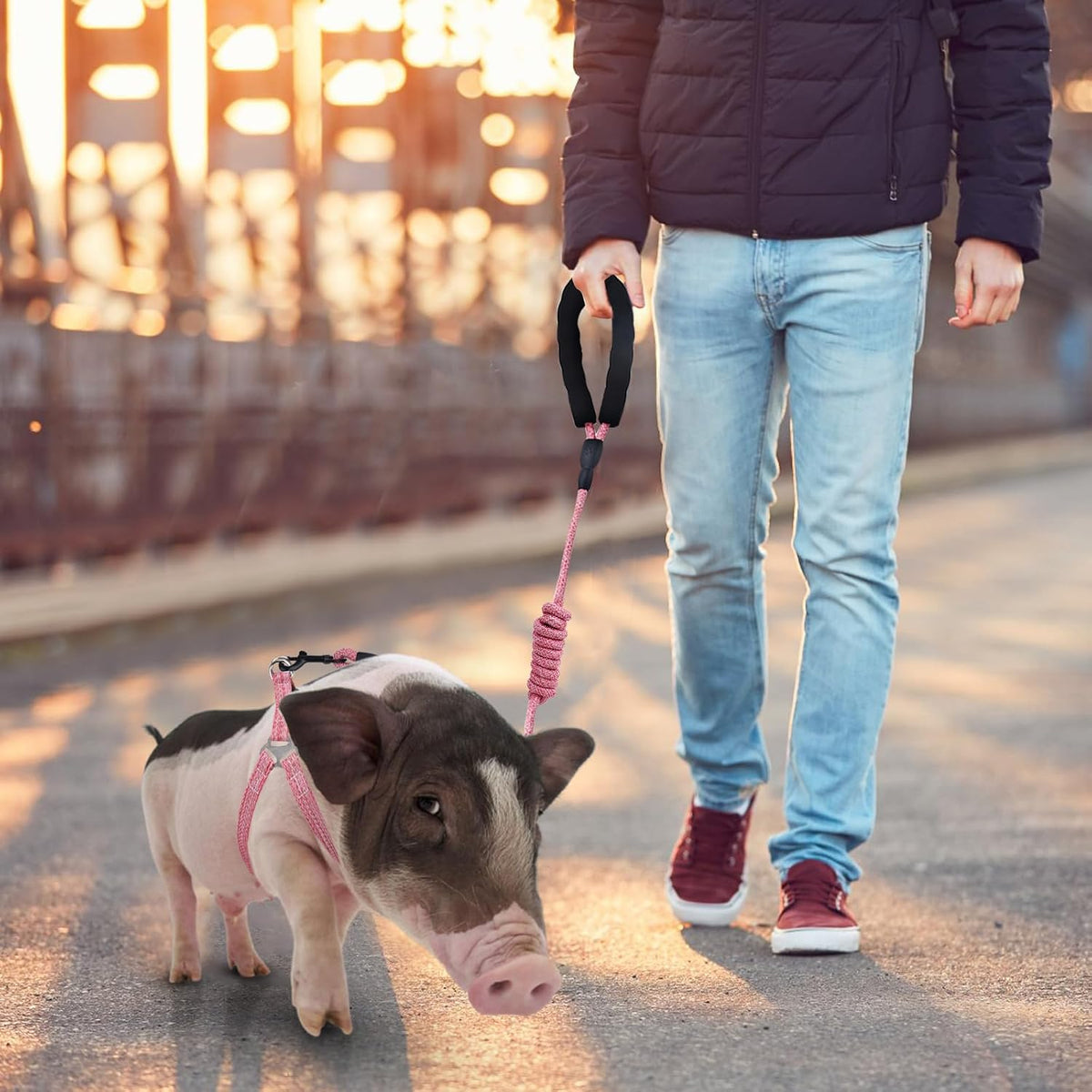 Mini Pig Harness Adjustable with Leash Foam Handle Pink, M