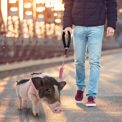 Mini Pig Harness Adjustable with Leash Foam Handle Pink, M
