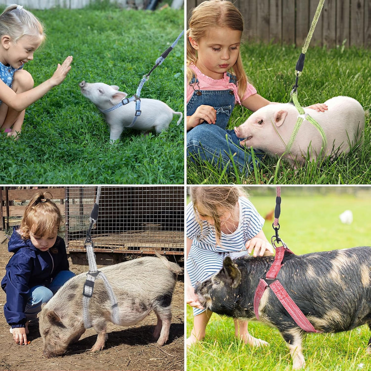 Mini Pig Harness Adjustable with Leash Foam Handle Pink, M