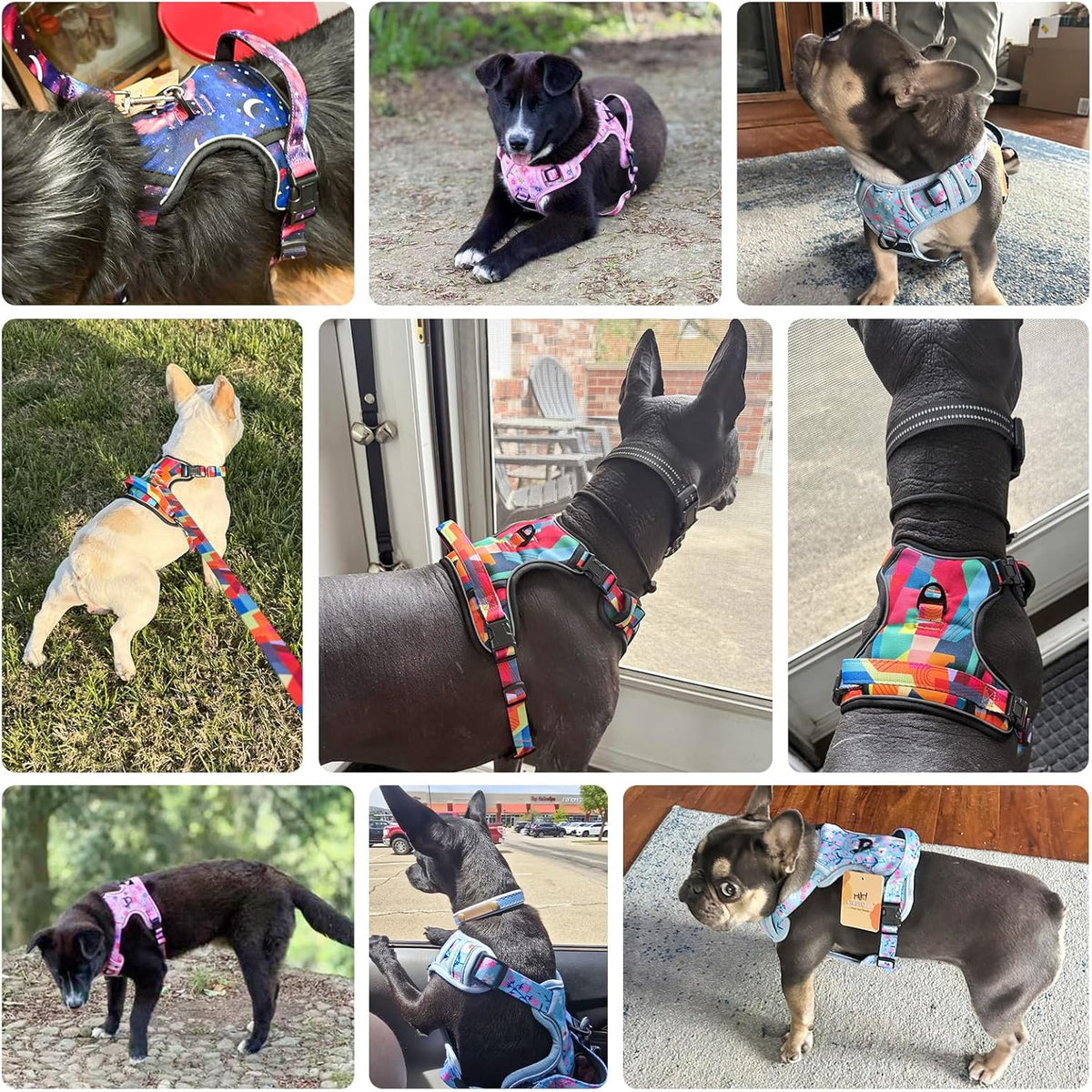 No Pull Dog Harness and Leash Set, Step in Puppy Pet Vest, Medium