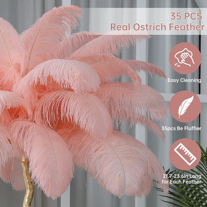 Luxury Resin Ostrich Feather Lamp, 35 Pieces Real Ostrich Feathers,Floor Light for Living Room, Bedroom and Office 67” Tall Feather Lamp(Pink, Floor Lamp)